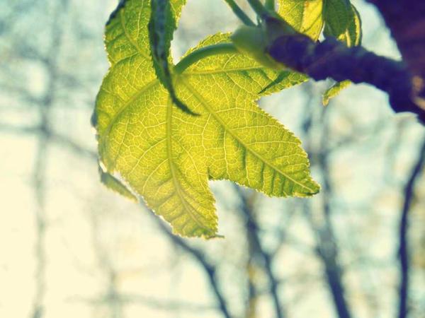 تصویر محیط کارگزاری